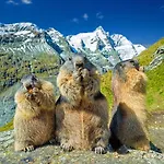 Nocky Mountains And *