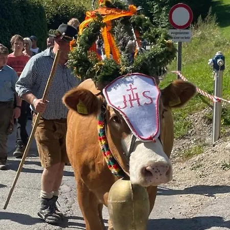 Nocky Mountains And Radenthein