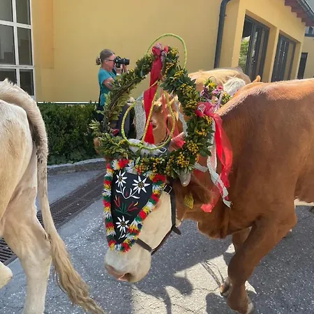 Nocky Mountains And Tatil Evi *