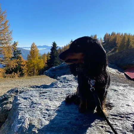 Semesterbostad Nocky Mountains And Radenthein