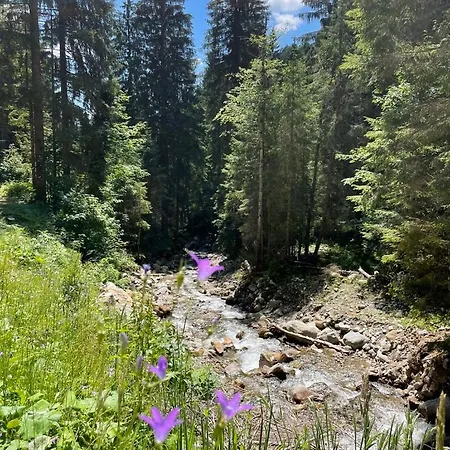 Tatil Evi Nocky Mountains And Radenthein