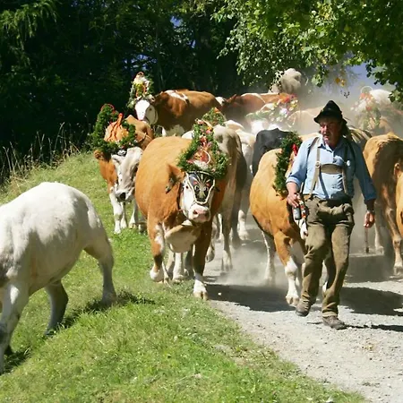 Semesterbostad Nocky Mountains And Radenthein