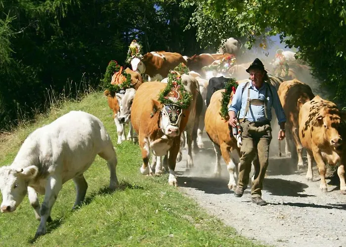 Holiday home Nocky Mountains And Radenthein